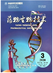 藥物生物技術 生物技術研究與開發(fā)的創(chuàng)新引擎